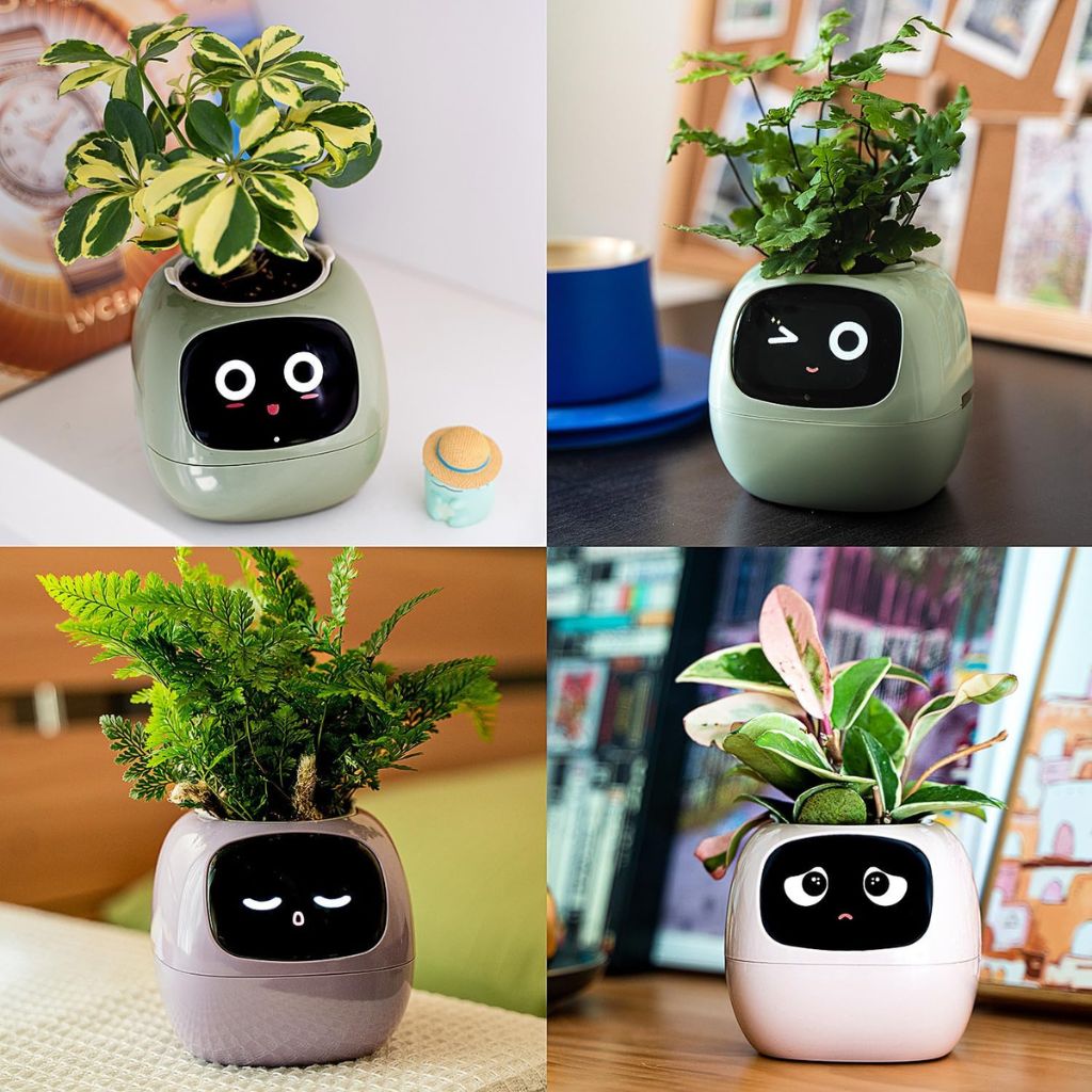 Ivy Smart Plant Pot